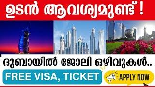 Dubai Job Vacancy 2024 Malayalam| UAE Job Vacancy| Gulf Job Vacancy Malayalam | Today Job Vacancy