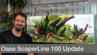 Oase ScaperLine 100 Nature Aquarium Update nach 2 Wochen | Liquid Nature