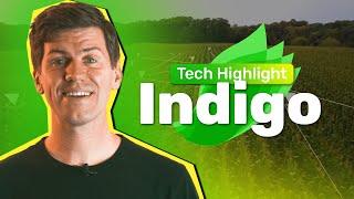 Indigo - Tech Highlight