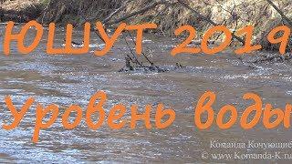 Уровень воды и паводок на реке Юшут. Устье Юшута - впадение в реку Илеть.  Весна 2019