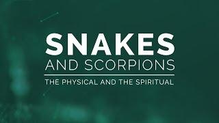 Snakes and Scorpions: The Physical and the Spiritual - 119 Ministries