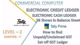 Electronic Credit Ledger and Electronic Cash Ledger | How to match in Tally ERP9 PRIME; GST & 3B