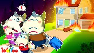 Wolfoo Is Moving Away From Old House! Fire Safety | Kids Cartoon | Wolfoo Family Official