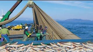 Teknik nelayan korea selatan menjaring ikan, hasil melimpah