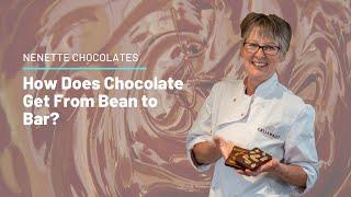 How Does Chocolate Get From Bean to Bar?