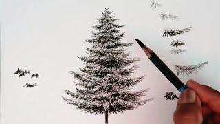 How to draw Christmas tree with pencil easy/ Winter season Snowfall angles tree drawing /