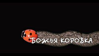 Короткометражный фильм «Божья коровка» ( Евгения Палехова)