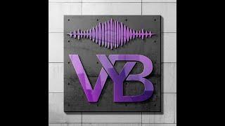 VYB Launch Reveal From The Plan B Profit System