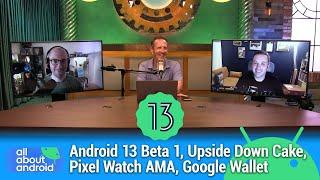 There's Gotta Be a Better Way - Android 13 Beta 1, Upside Down Cake, Pixel Watch AMA, Google Wallet