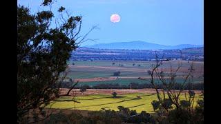 ‘Braemar’ – Large scale mixed farming opportunity in New England region of NSW