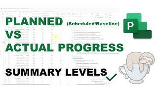 Planned (Scheduled/Baseline) vs Actual (%)Progress/Complete (Summary Level) Microsoft Project 2021