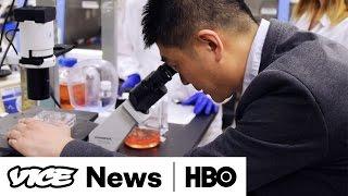 Meet The Scientists Who Created The First Human-Pig Hybrid: VICE News Tonight on HBO