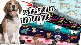 DIY - SEWING PROJECTS For Your DOG | GENIUS HACKS FOR SMART PET OWNERS