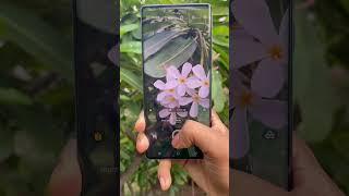 Vivo v27 camere test #cameratest #shorts #vivov27