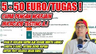 UP TO 50 EURO/TUGAS, DENGAN TESTING AI.. CARA MENGHASILKAN UANG DARI INTERNET MENGGUNAKAN TEST BIRDS