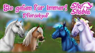 Star Stable [SSO] Pferdekauf: Diese Pferde gehen für IMMER!!!