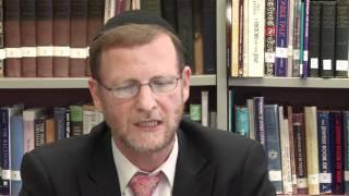 Torahtalk: Parsha Noach