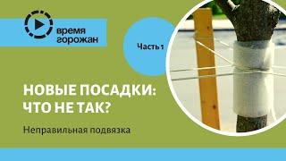 Новые посадки: что не так? Часть 1. Подвязка