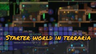 Starter world download in terraria 1.4.4.9.6