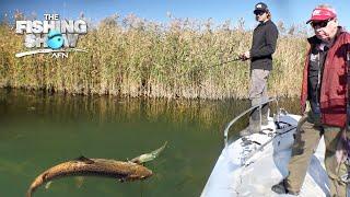 Trout Fishing in Warrnambool's Merri River