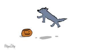 Wolf+gets+head+stuck+in+a+pumpkin