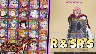 Why You Should Level Up & Awaken Your R & SR Units! *New Players Guide* 7DS:GC