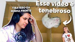 Reagindo à corrida de hamsters do Slime Sam Sapeca | VÍDEOS VIRAIS DE HAMSTERS #9