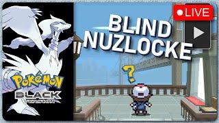 Pokémon Black Version Blind Nuzlocke (Vertical)