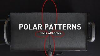 Polar Patterns Explained