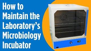 Care & Cleaning - How to Maintain the Laboratory’s Microbiology Incubator - Hardy Diagnostics