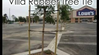 Rubber Tree Ties by Villa Root Barrier