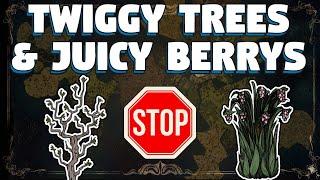 How To Stop Twiggy Trees in Don't Starve Together - How To Stop Juicy Berry Bushes in DST