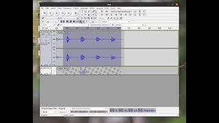 Audacity TranscriptionToolbar history