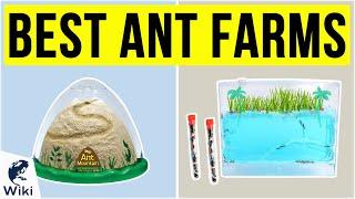 10 Best Ant Farms 2020