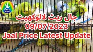 Lalukhet Birds Market jaal rate update 20/08/2023 | Dhedhi Birds