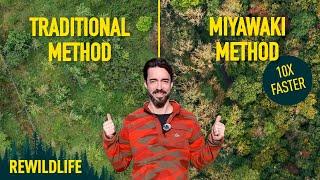 Planting a Mini Japanese Woodland on My Irish Land: The Miyawaki Method