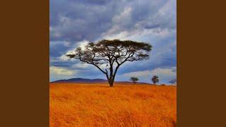 African Savannah Wildlife Ambience