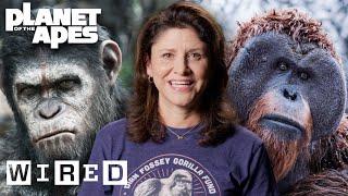 Every Ape in Planet of the Apes Explained | WIRED
