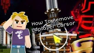 How To Remove Ldplayer Yellow Cursor [Blockman Go]