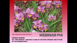 AIS Webinar #14: Two Worlds – One Iris. A look at the Past, Present and Future of the Siberian Iris