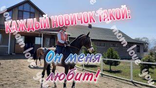 Каждый новичок такой|Конный скетч| EQUESTRIAN AKHAL TEKE