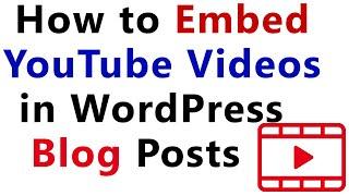 How to Embed YouTube Videos in WordPress Blog Posts || Mukesh Burdak