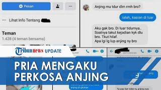 Viral Unggahan Pria Asal Gowa Mengaku Perkosa Anjing seusai Lihat Film Porno, Kini Dilaporkan