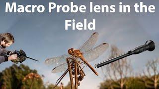 Using the Laowa 24mm Macro Probe Lens for Nature and Wildlife in the field