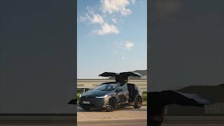 DAS kann das Tesla Model Y besser als das große Model X! 