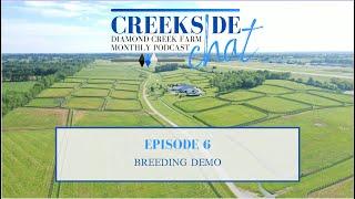 CREEKSIDE CHAT - EPISODE 6 - BREEDING DEMO