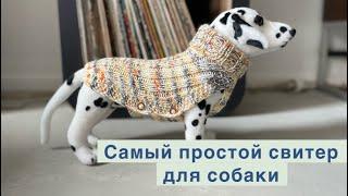 Самый простой и легкий в исполнении свитер для собаки