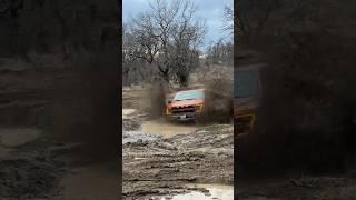 FORD F150 RAPTOR JUMP IN THE SWAMP  #ford #raptor #shorts