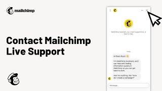 How To Contact Mailchimp Support - 2024 Mailchimp Tutorial