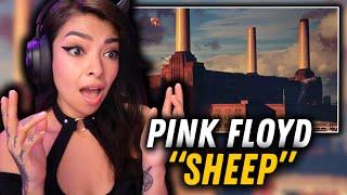 WHAT A MASTERPIECE! | First Time Reaction to Pink Floyd - "Sheep"